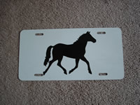 painted license plate 3