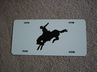 painted license plate 7