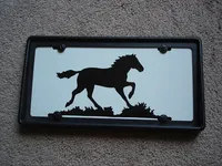 painted license plate