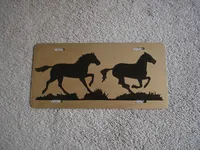 painted license plate 2