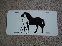 painted license plate 4