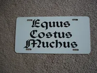 painted license plate 6